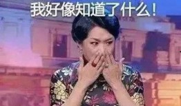 金星爆料小男友视频大全,小男友视频大全幕后故事